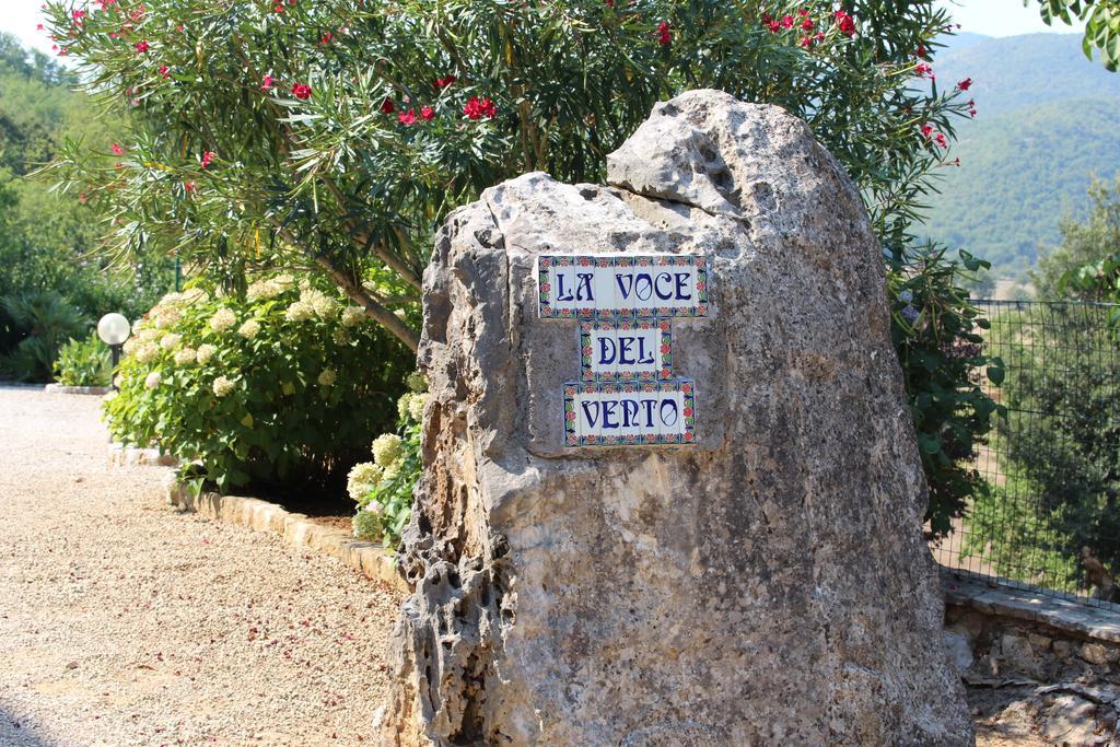 Villa La Voce Del Vento Pastena  Ngoại thất bức ảnh